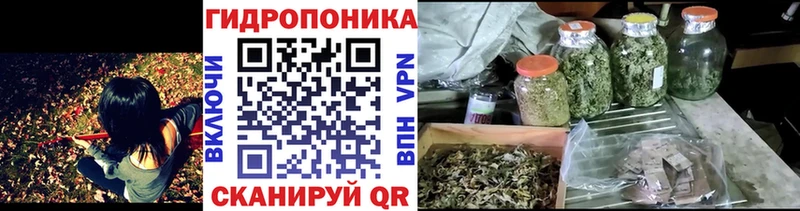 Каннабис Amnesia  сколько стоит  площадка наркотические препараты  Липки 